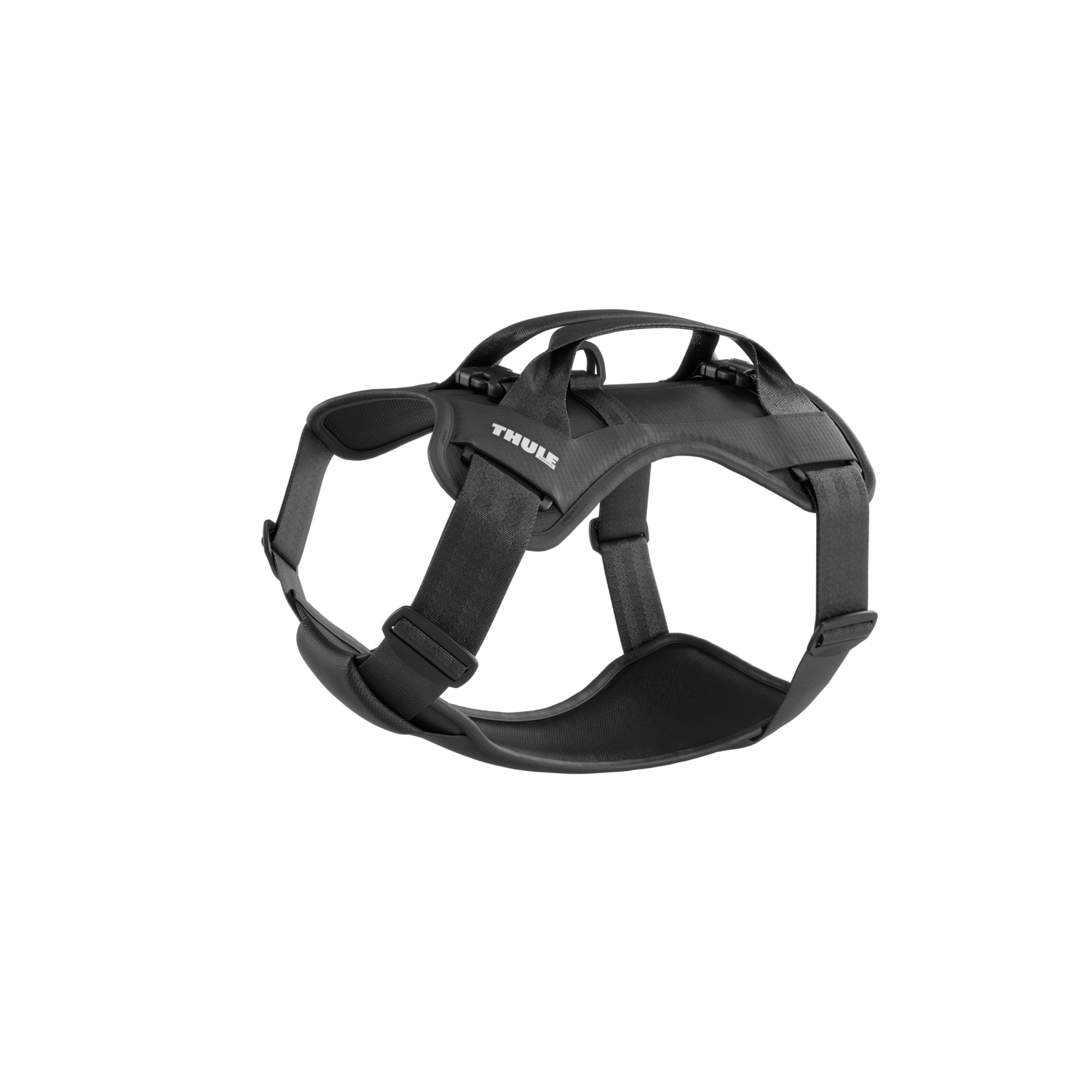 Thule Cappy