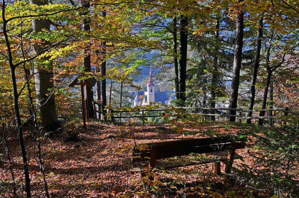 Tarvisiano_Parco Cervi_Autunno_Chiesa_campanile_Tarvisio_DSC_5693