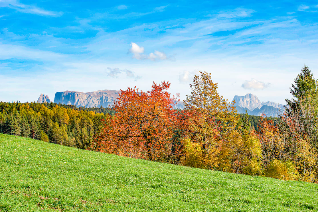 Queste passeggiate ti portano su un altipiano soleggiato dove il foliage incanta tutti i sensi