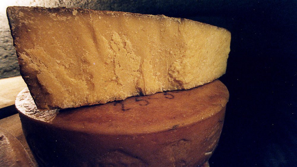 gastronomia_bagoss