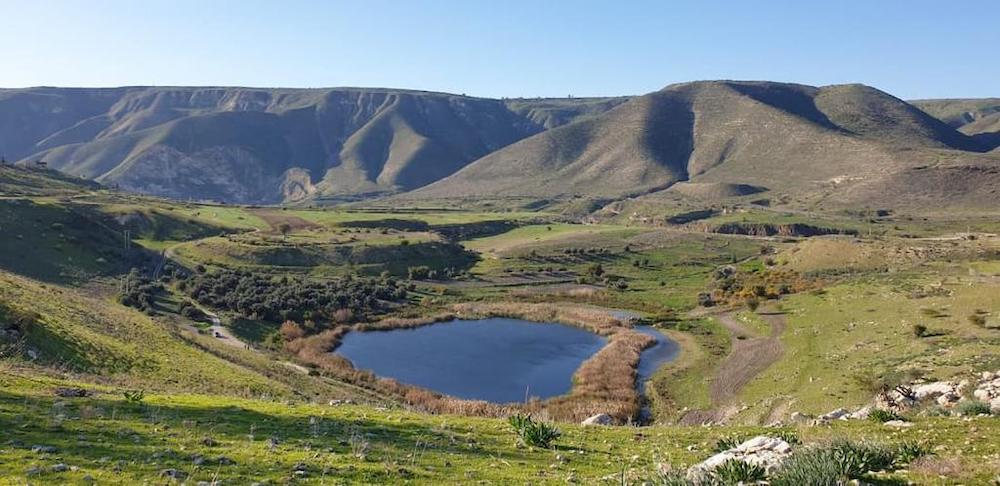 yarmouk nature reserve 1