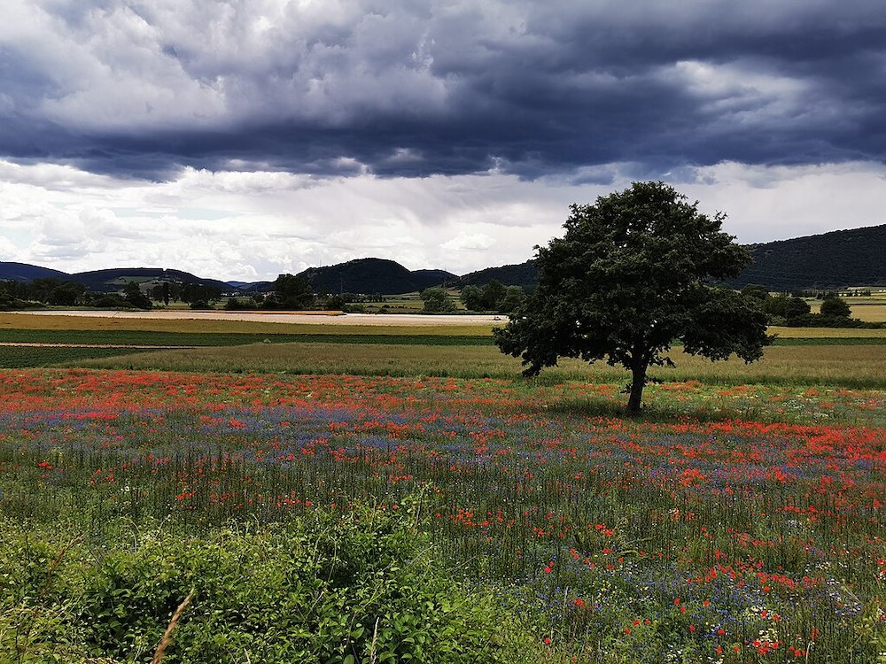 Parco_di_Colfiorito_umbria