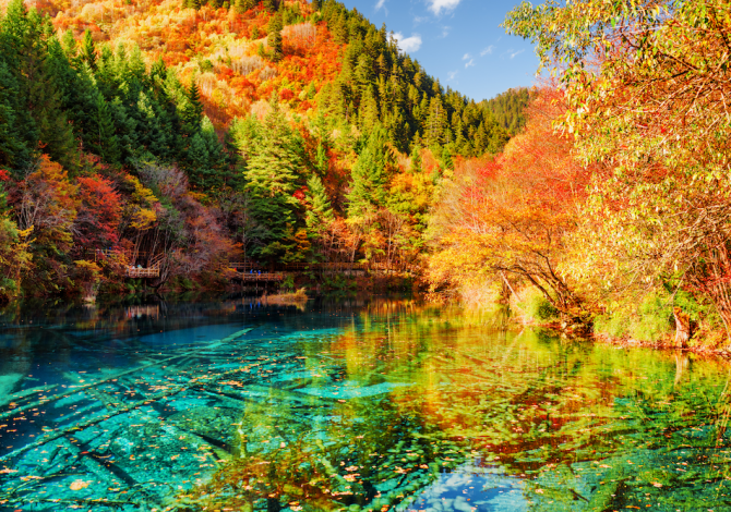 5-flowers-lake-cina-10