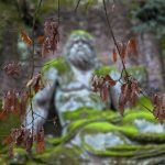 BOMARZO – Il borgo antico si muove lento tra pietre e cortili, mentre il Parco dei Mostri sorprende con sculture tra querce e massi vulcanici.