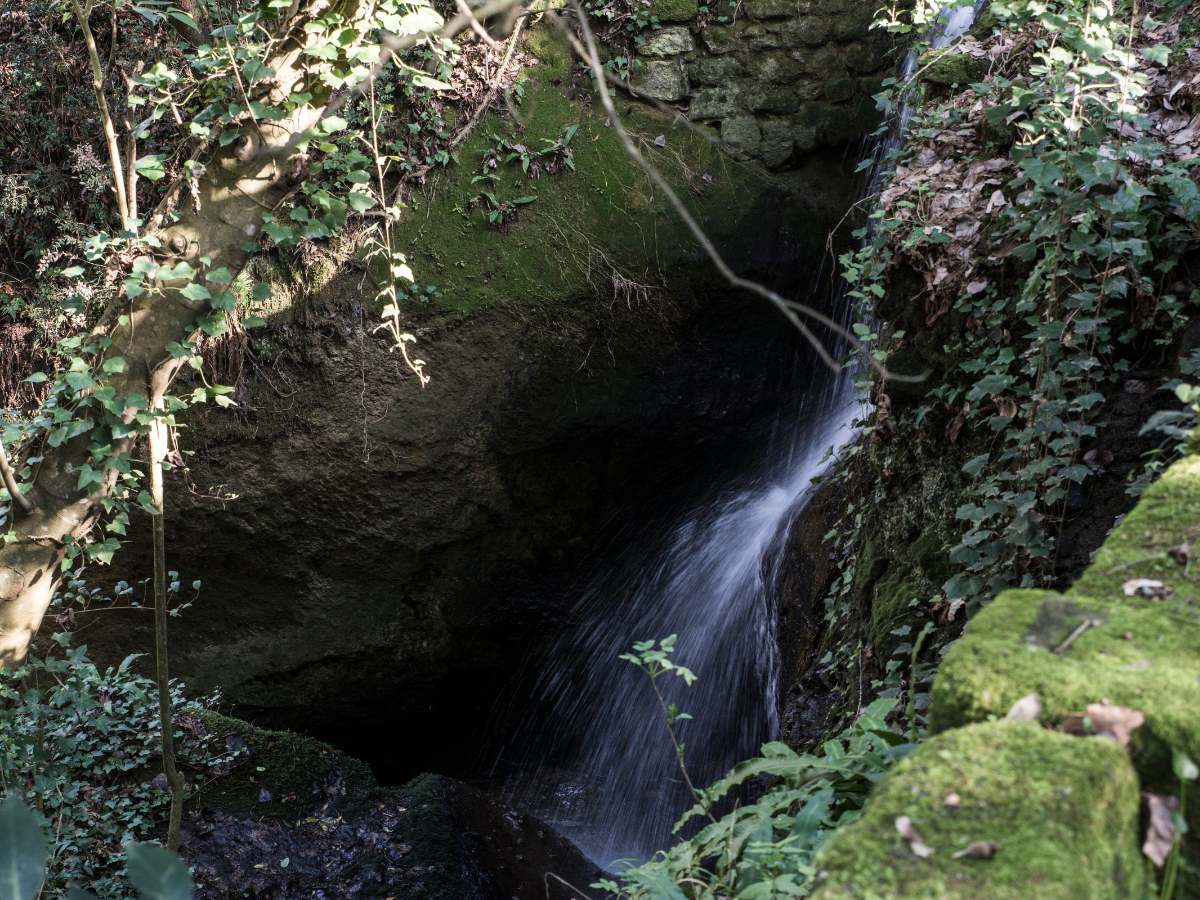 Boschi di Bomarzo, Tuscia