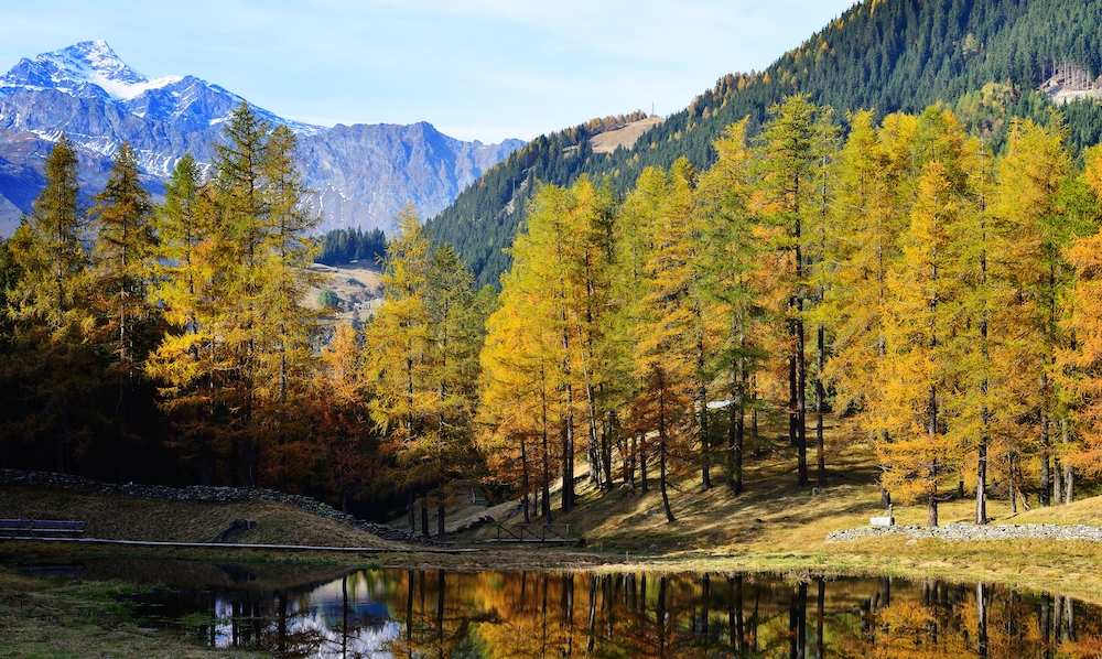 laghetto di Mottala autunno