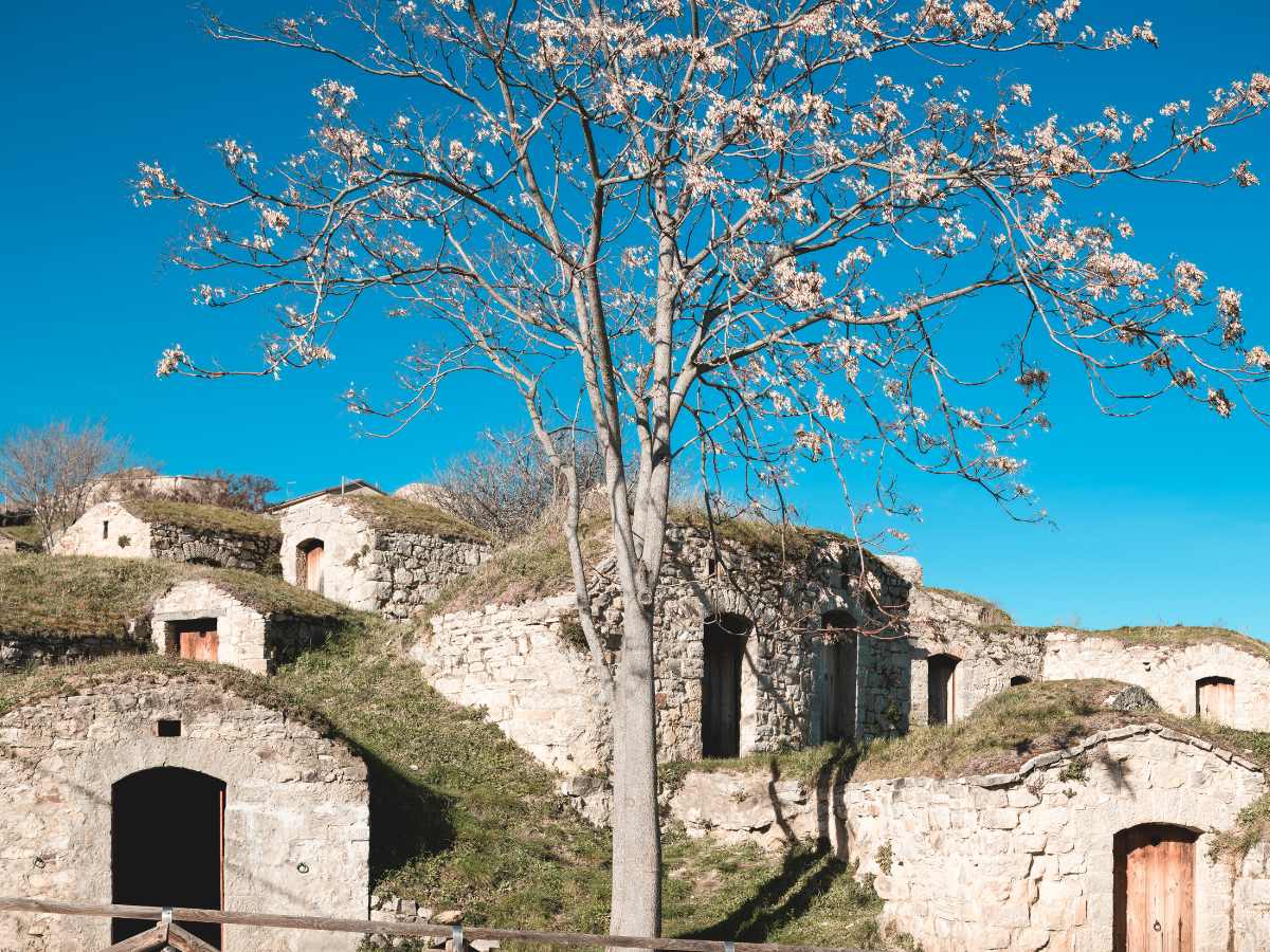 Palmenti di Pietragalla, Basilicata
