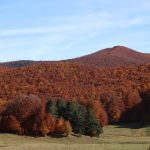 Parco Nazionale della Sila