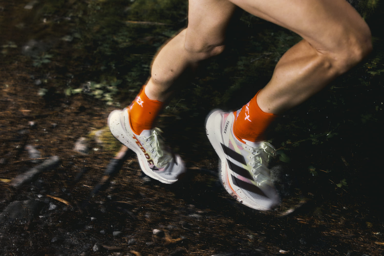 adidas Terrex Agravic