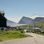 Viðareiði