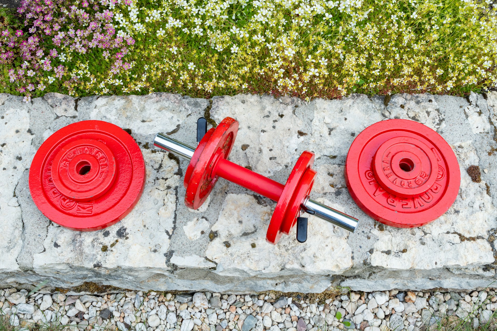 Allenamento a casa: 2 manubri sono tutto quello che ti serve per tenerti in forma sempre (Guida Completa)