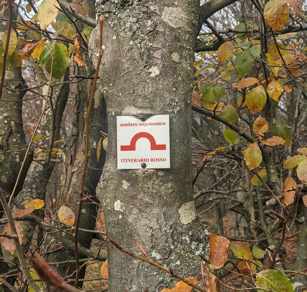 beigua-bosco