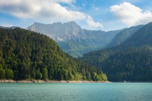 lago-sauris