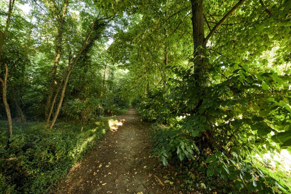 parco-po-piemonte