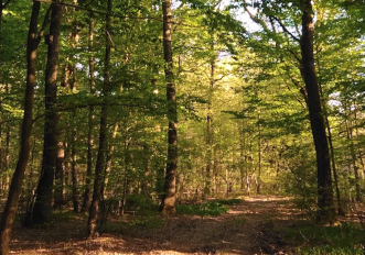 parco-sorti-autunno