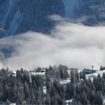 Braunwald