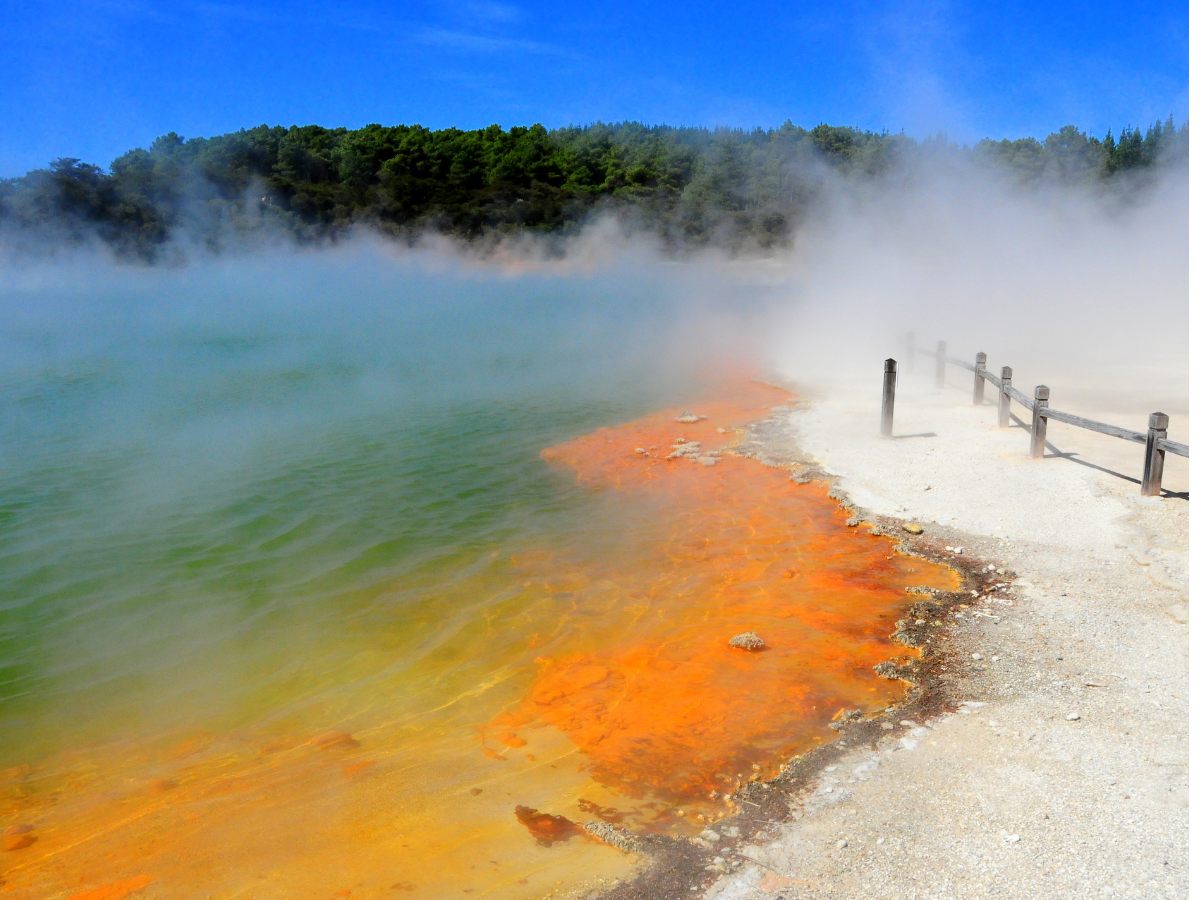 Champagne pool, Nuova Zelanda