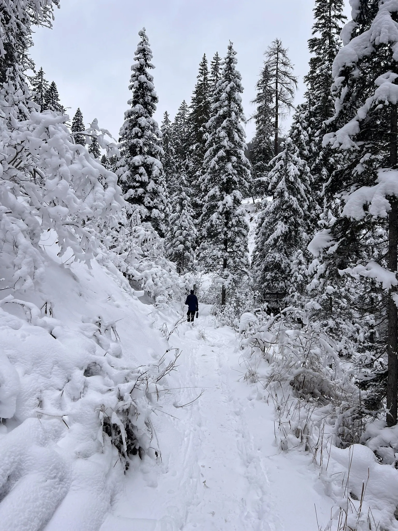 Ciaspolate indimenticabili: gli itinerari più belli sulla neve in Italia