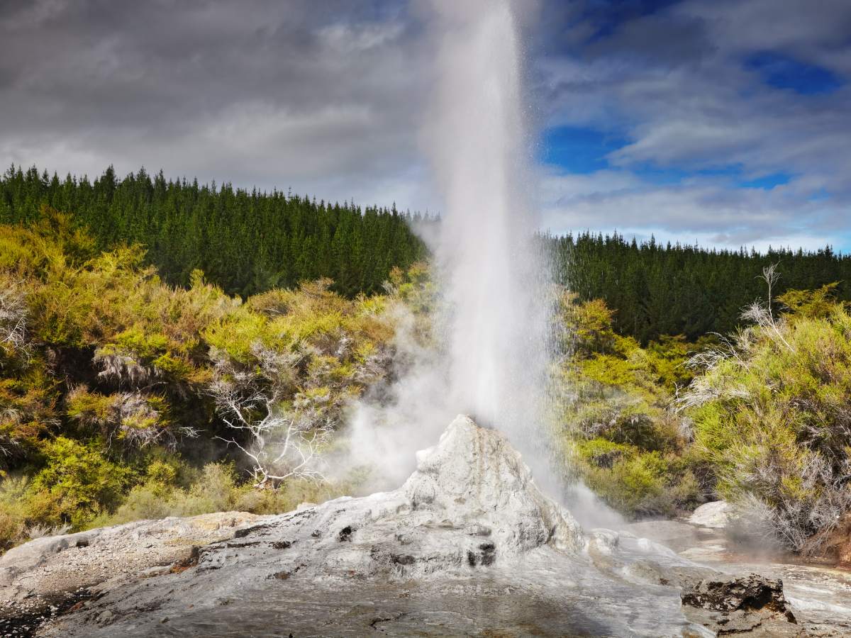 Lady Knox Geyser, Nuova Zelanda