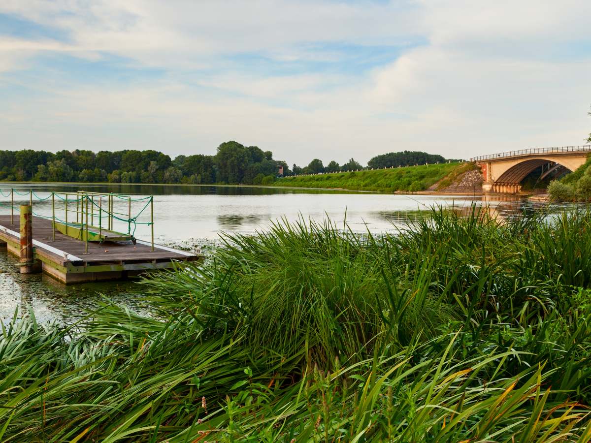 Laghi di Mantova, escursioni