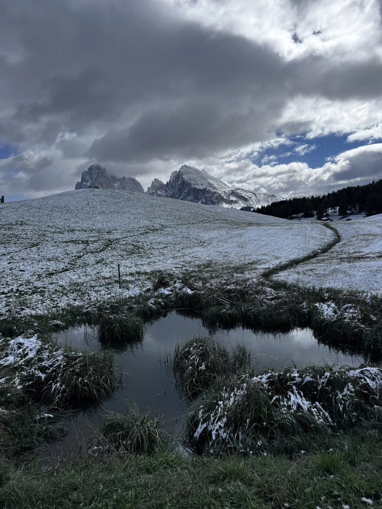 Ciaspolate indimenticabili: gli itinerari più belli sulla neve in Italia