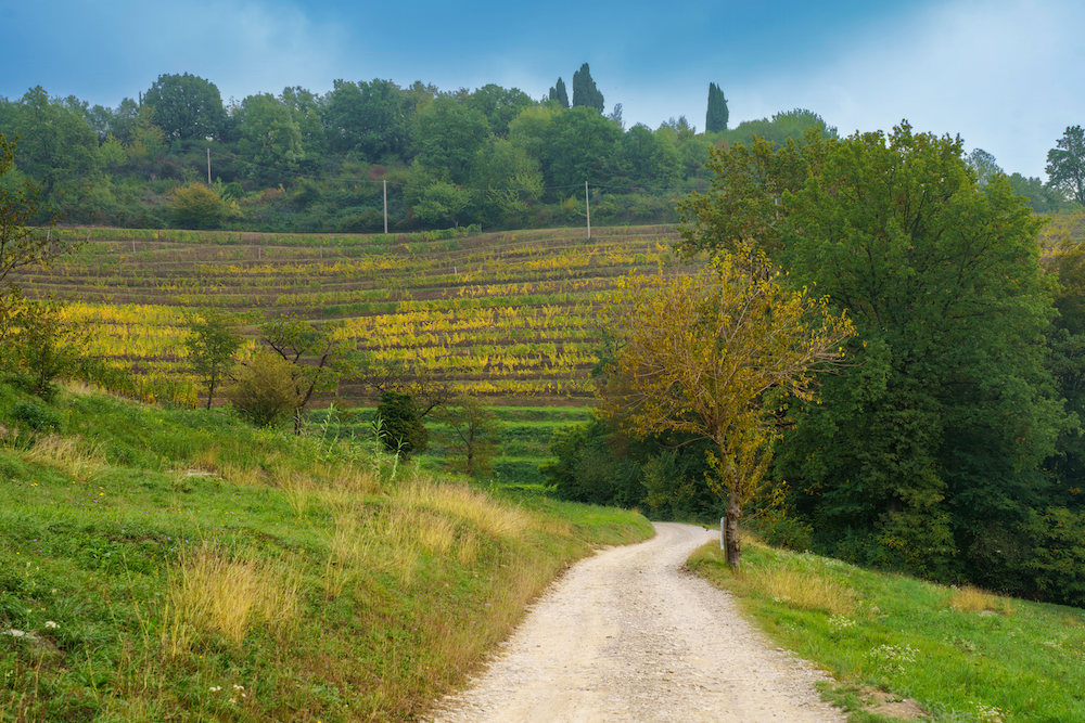colline-brianza