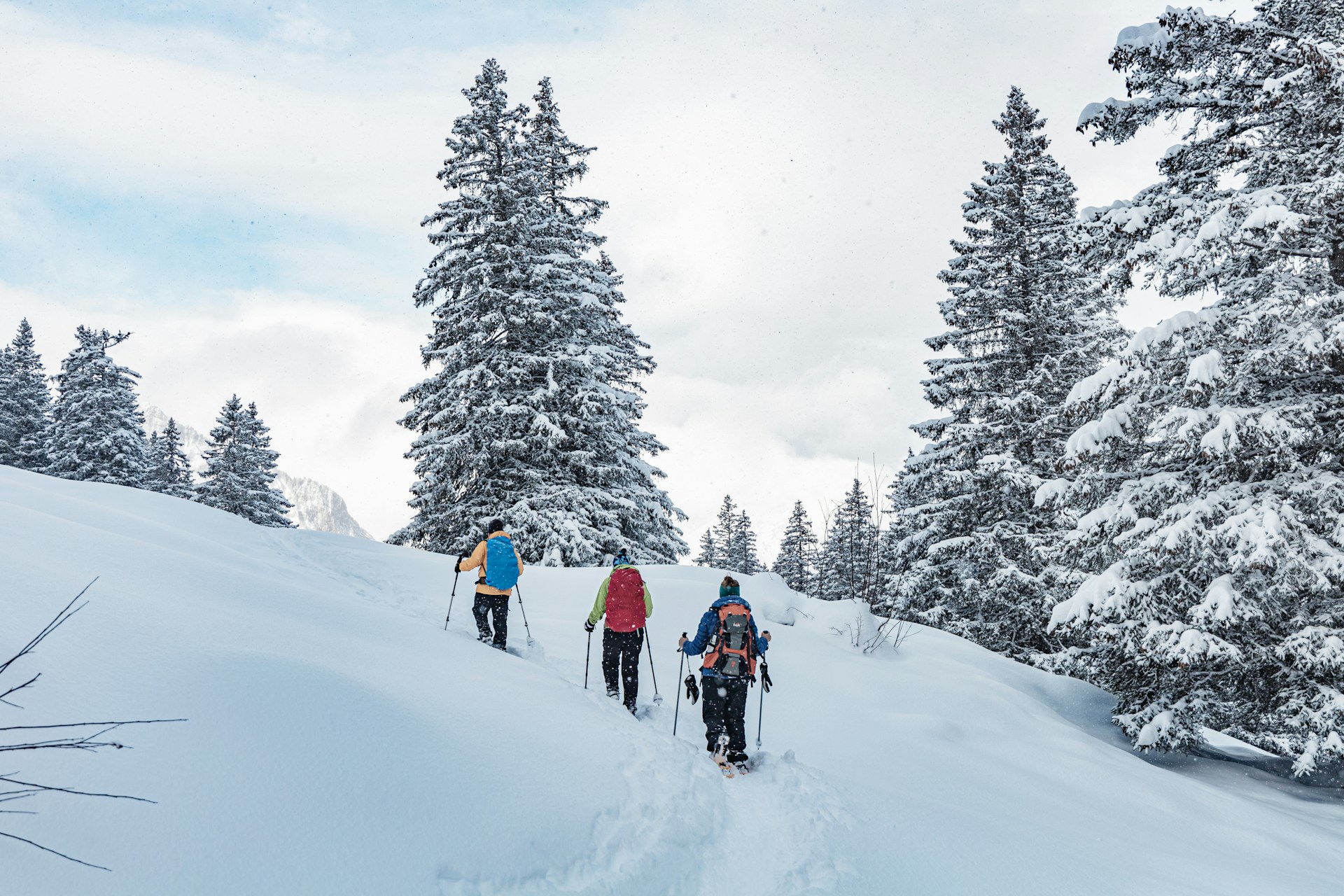 30+ ciaspolate da sogno in Italia che puoi provare questo inverno