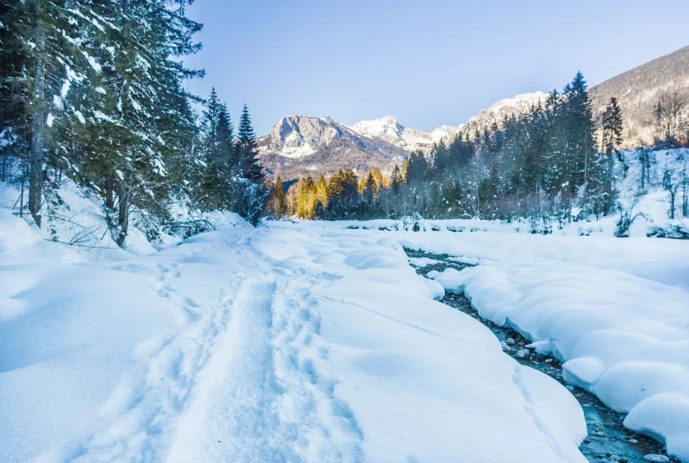 Ciaspole in Friuli Venezia Giulia: i 15 itinerari più belli (tra 3 confini)
