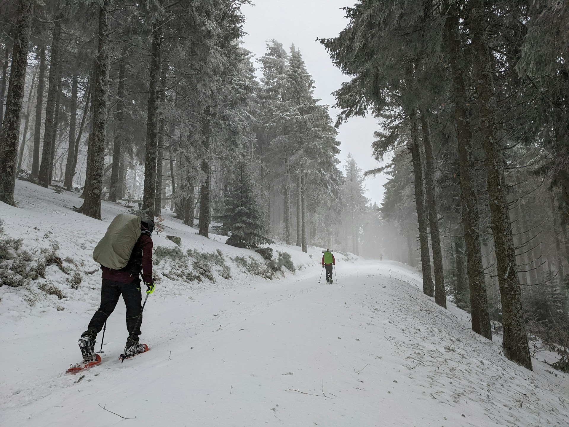 30+ ciaspolate da sogno in Italia che puoi provare questo inverno