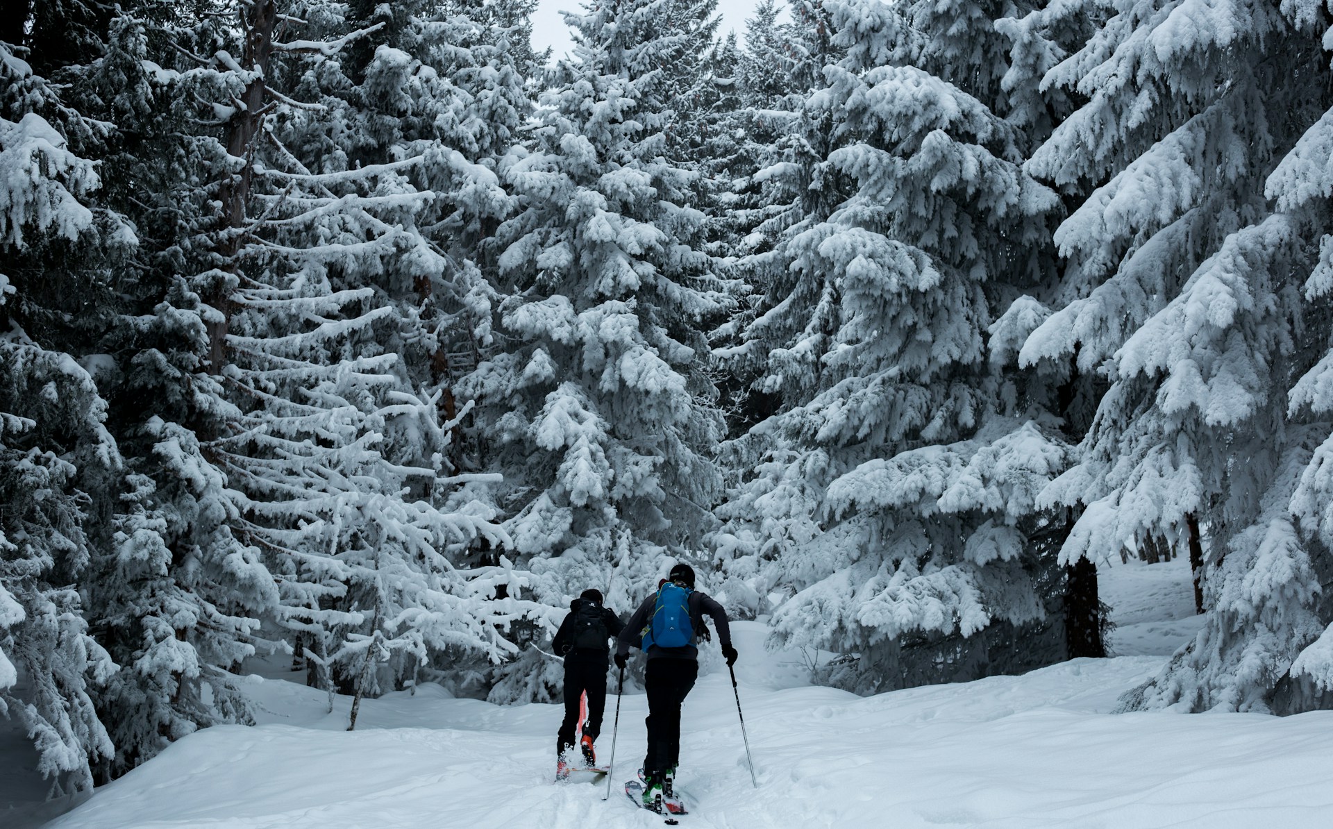 30+ ciaspolate da sogno in Italia che puoi provare questo inverno