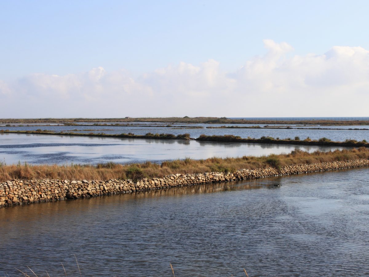 Saline di Tarquinia, Tuscia