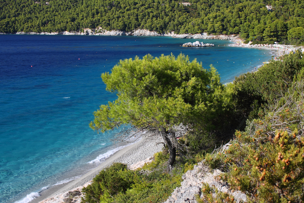 skopelos-spiagge