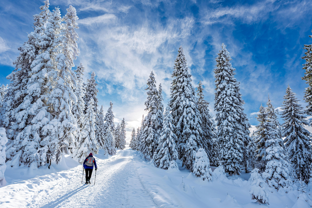 bosco-neve-benessere