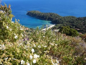via-essenza-elba-escursioni-2026