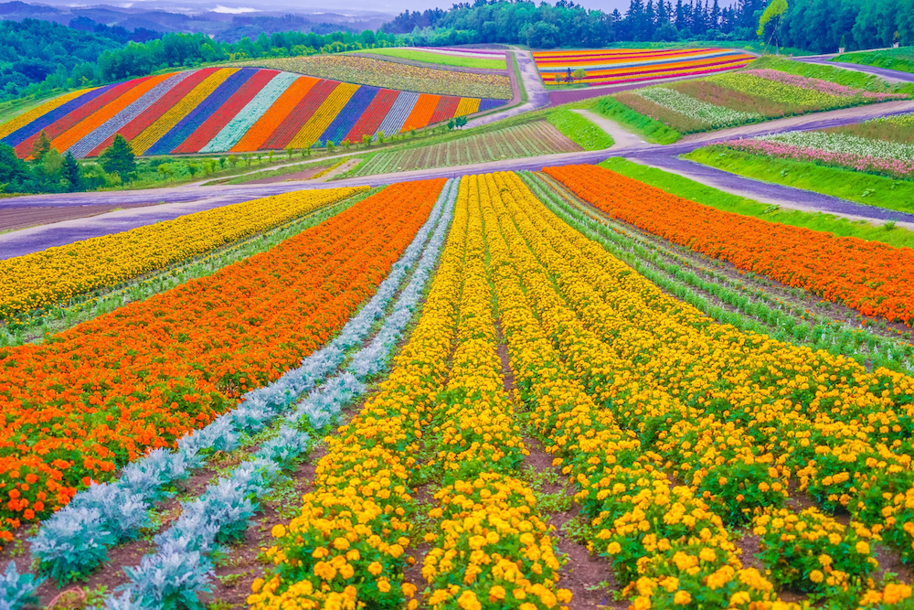 hokkaido-giappone