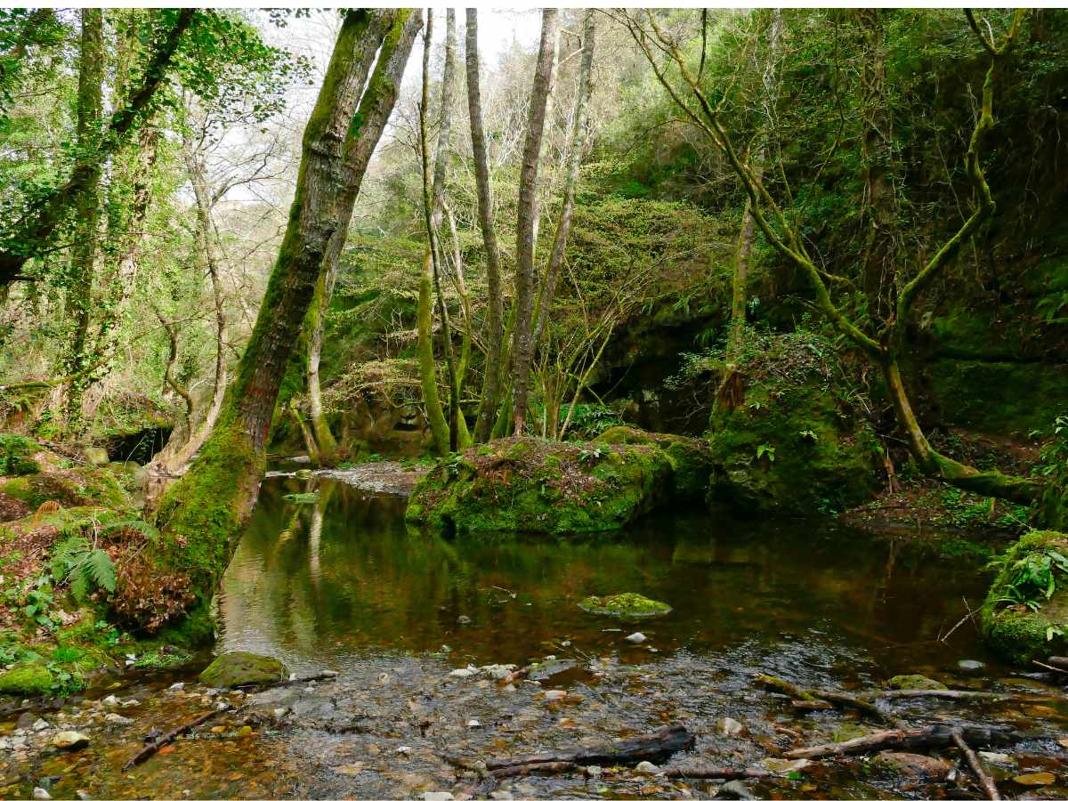 Il paesaggio del torrente Biedano