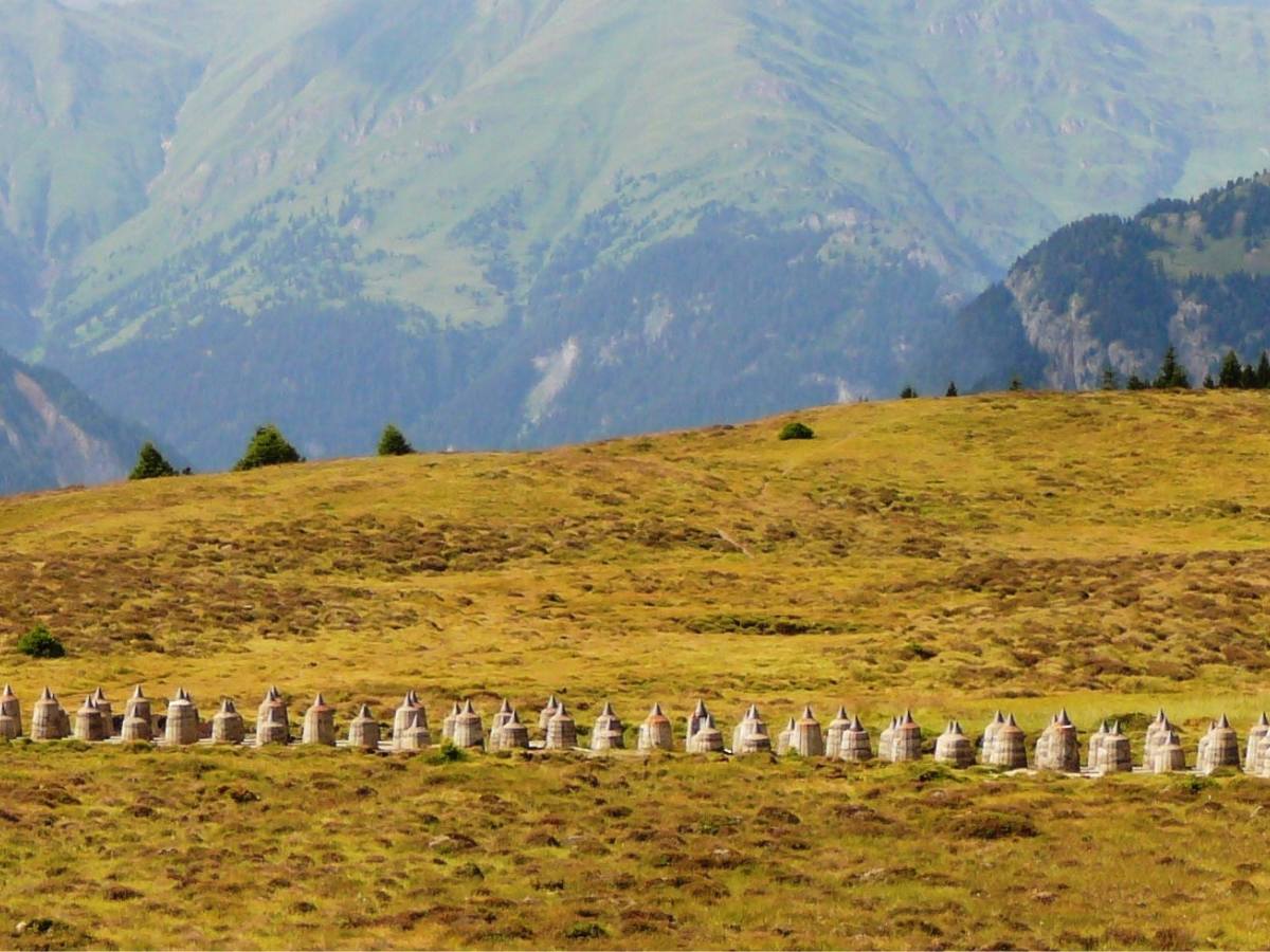 Denti di Drago, Alto Adige