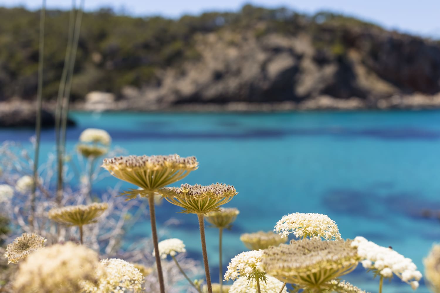 Viaggi in Spagna in Primavera