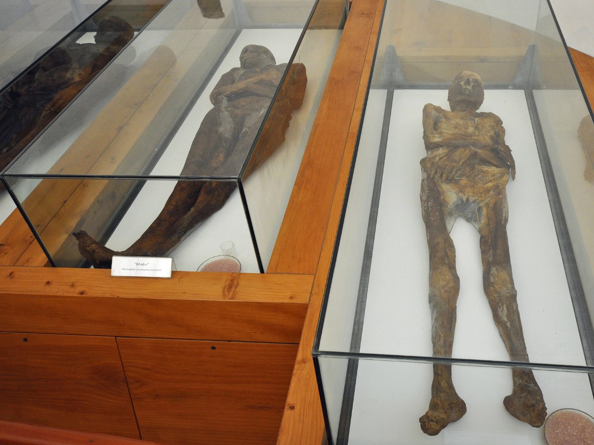 Alcune Mummie di Venzone