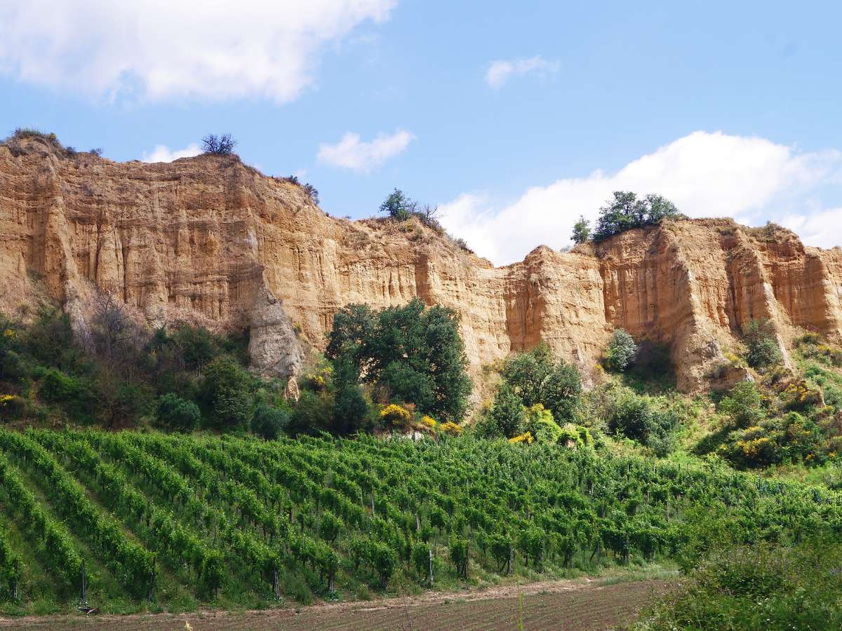 Pinnacoli del Valdarno, Toscana