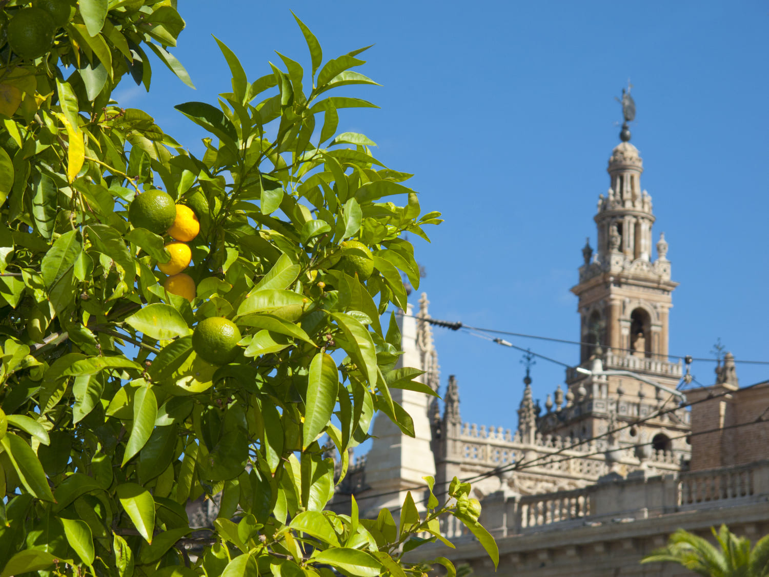 Viaggi in Spagna in Primavera