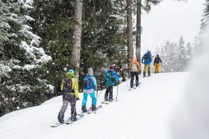 Skimofestival 2026