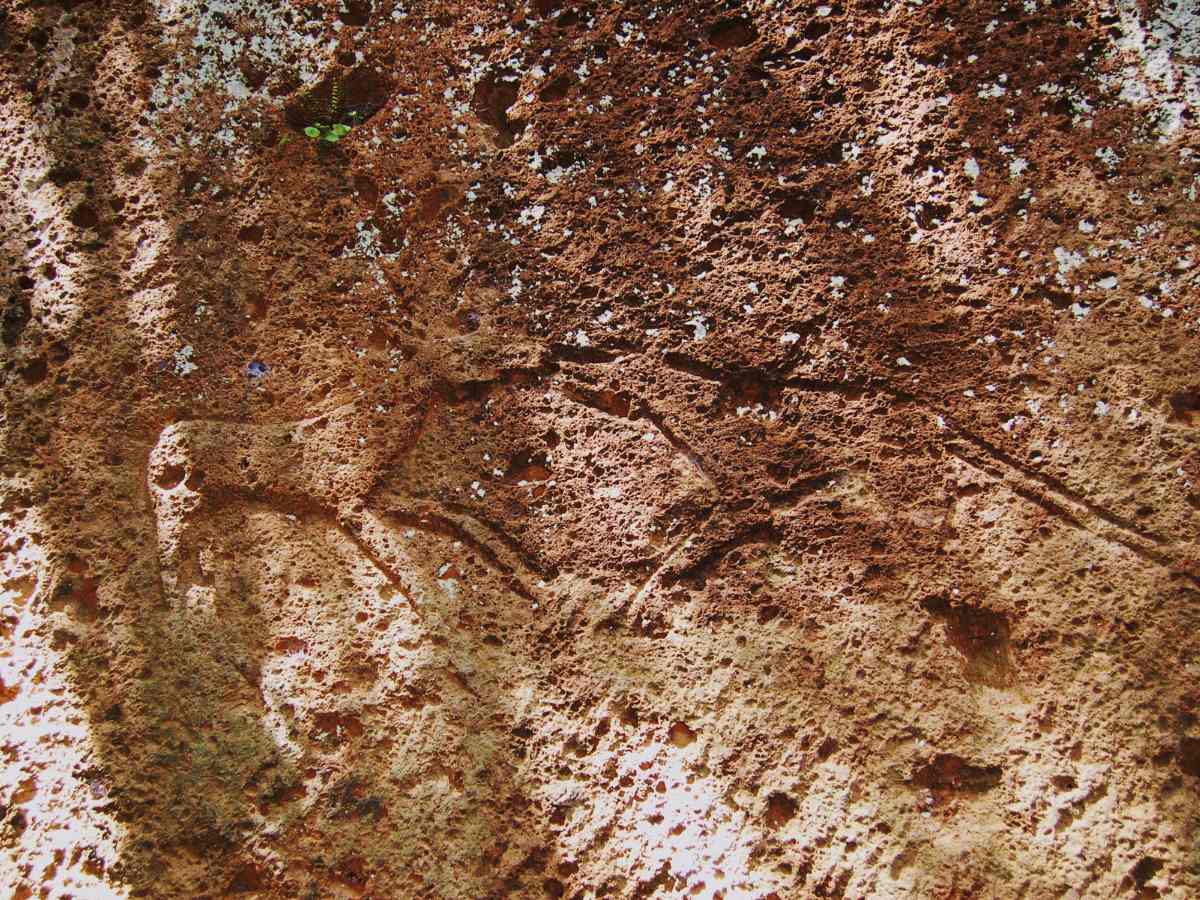 Incisione sulla Tomba del Cervo