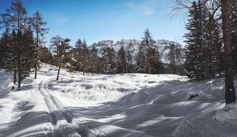 forest-bathing-dolomiti