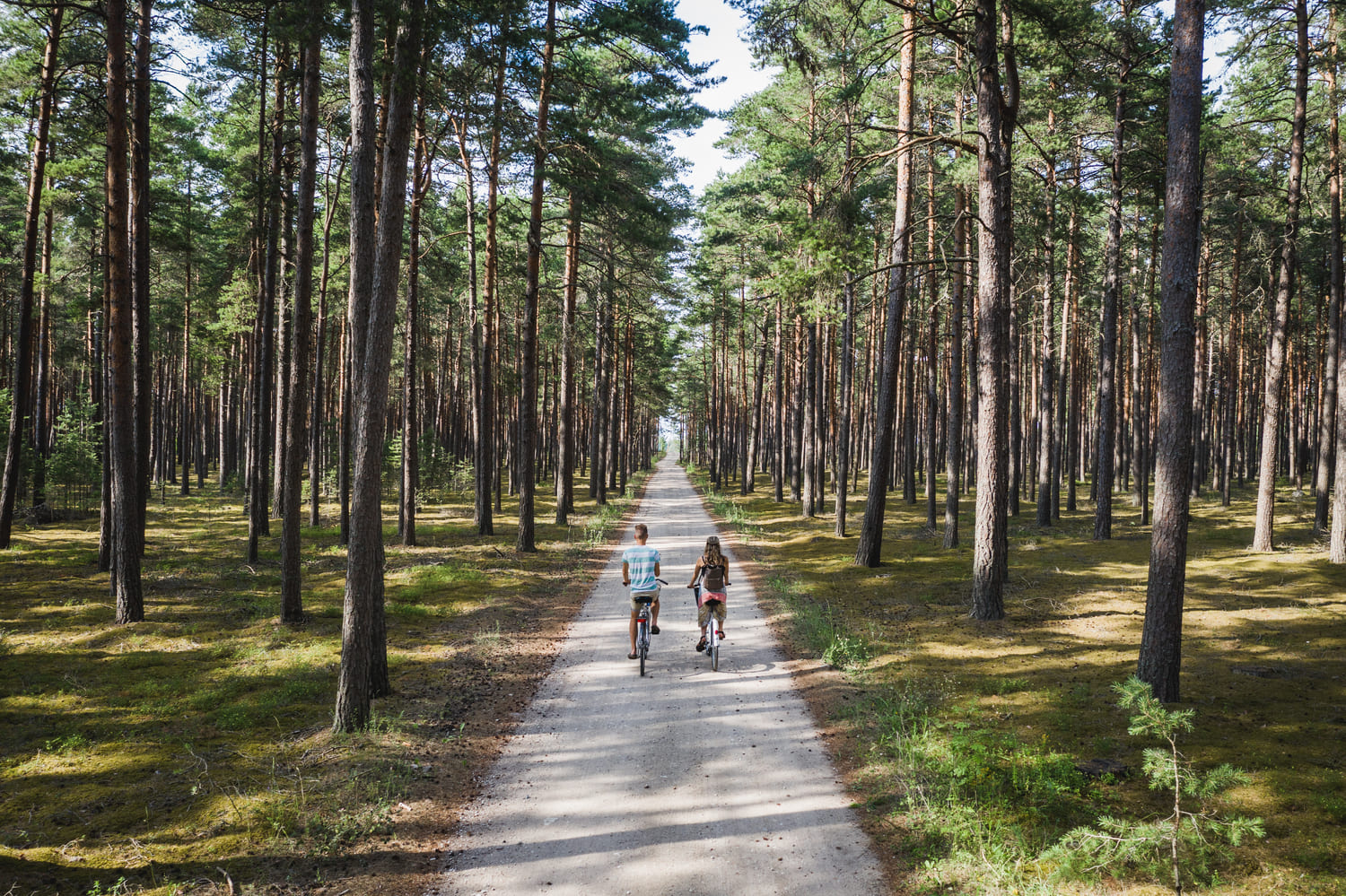 Estonia Coastal Route