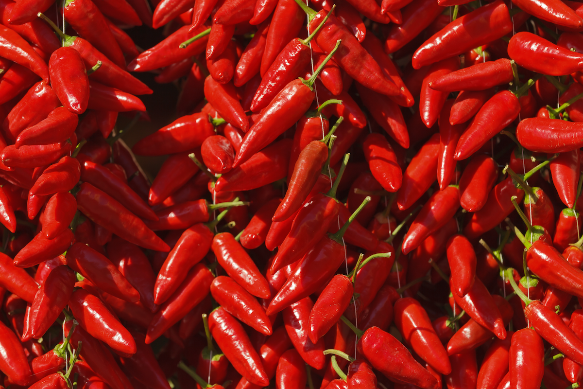 peperoncino