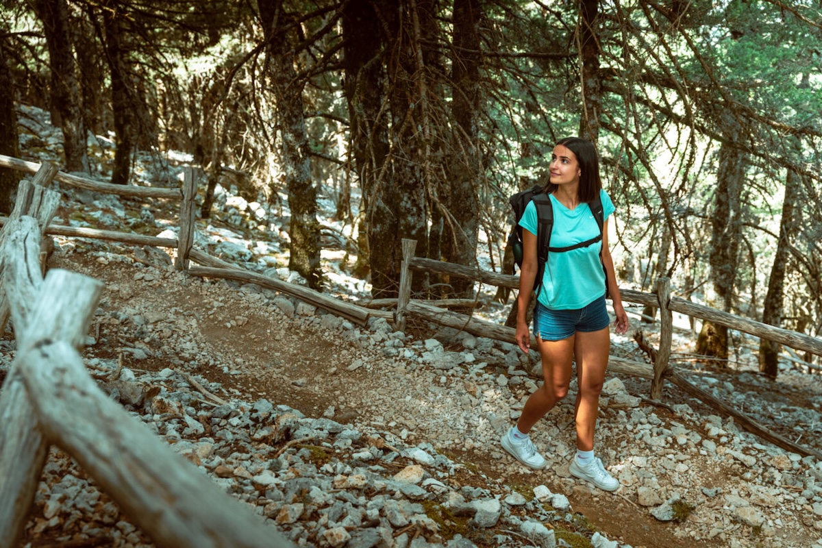 Ainos-Foresta