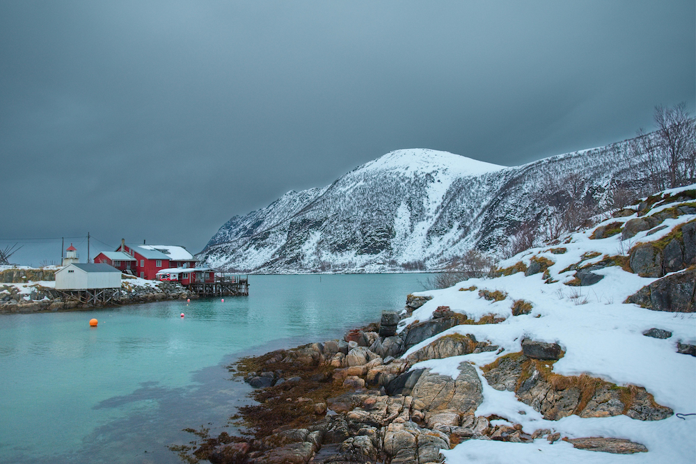 senja-lofoten-norvegia