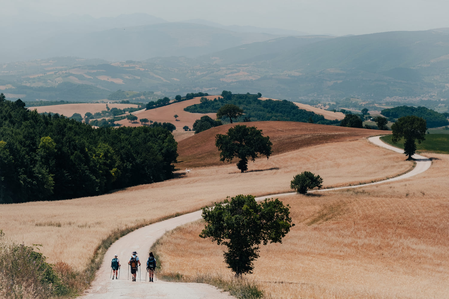 Cammino dei Cappuccini nelle Marche