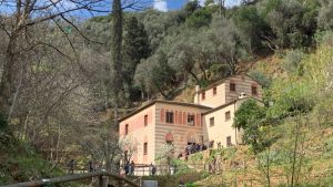 Eremo-niasca-bosco